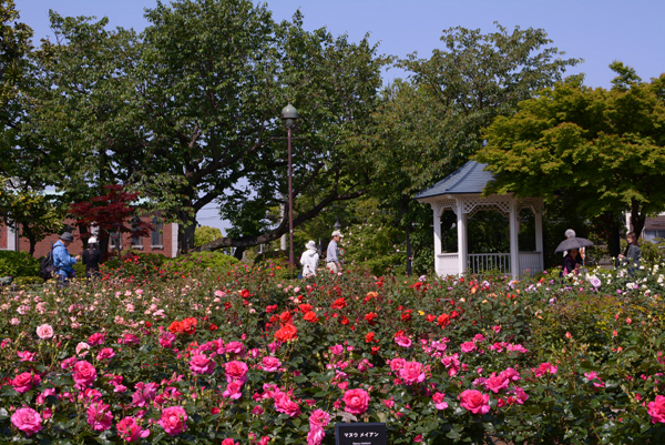 140510 minato DSC_0388.jpg